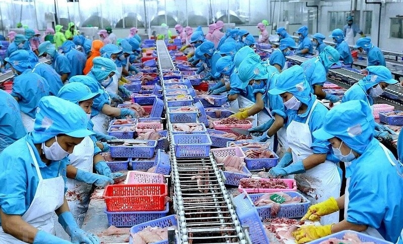 Whitefish shortage in EU opens market opportunities for Vietnam’s pangasius